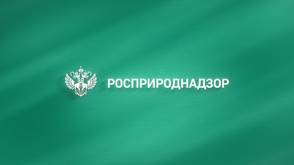Рынок вторичных ресурсов становится более прозрачным: в Казани обсудили биржевые инструменты для экономики замкнутого цикла